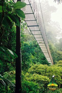 Arenal Hanging Bridges - Photo 3