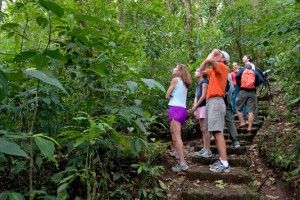 10 Cool Things to Do in Monteverde