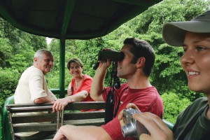 Rainforest Aerial Tram Photo 1