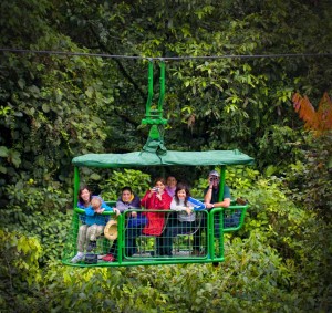 Rainforest Aerial Tram Photo 2