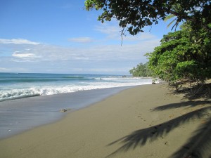 Lapa Rios Jungle Experience • Package Costa Rica